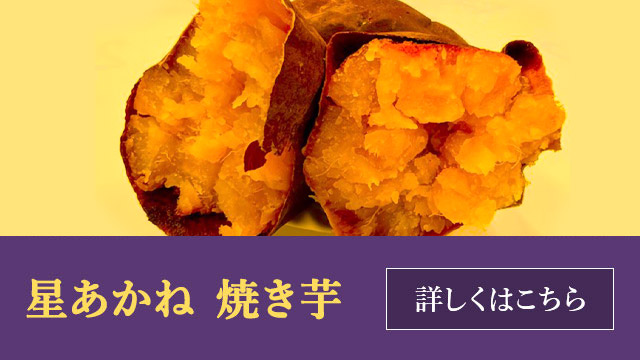 星あかね 焼き芋