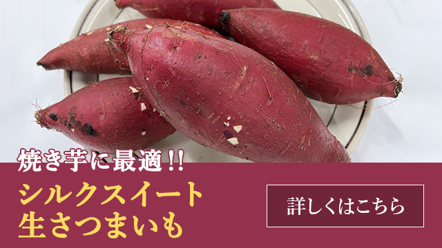 シルクスイート 生さつまいも