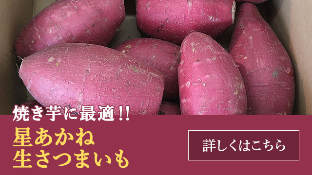 星あかね 生さつまいも