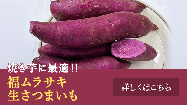 福ムラサキ 生さつまいも